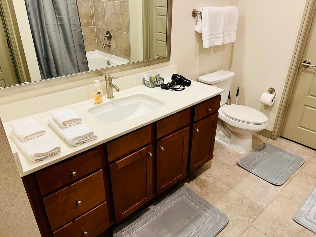 Downtown Apart 1 Bed 1 Bath Free Parking Apartment Houston Luaran gambar